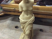 Beeld ivorine - afbeelding 1 van  2