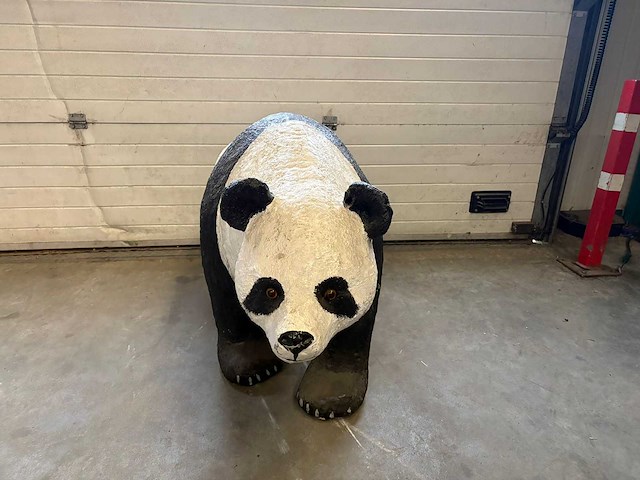 Beeld : panda - afbeelding 1 van  3