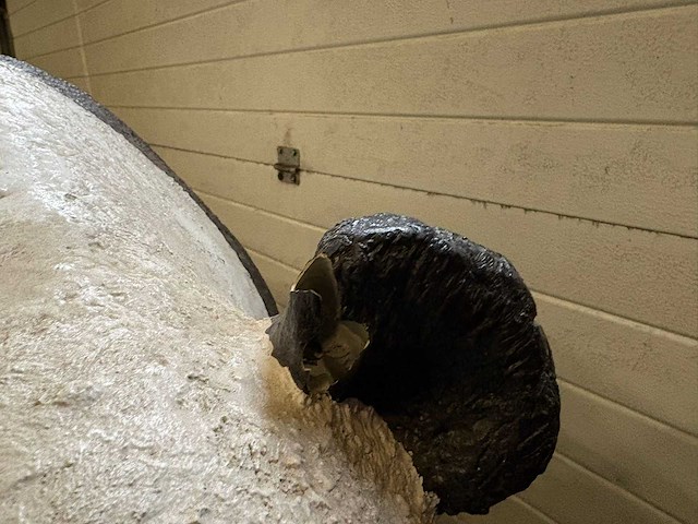 Beeld : panda - afbeelding 3 van  3