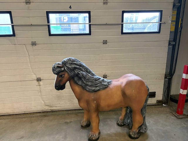 Beeld : shetland pony - afbeelding 1 van  3