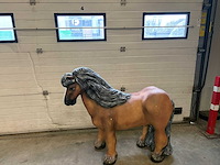 Beeld : shetland pony - afbeelding 1 van  3