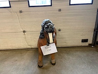 Beeld : shetland pony - afbeelding 2 van  3