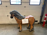 Beeld : shetland pony - afbeelding 3 van  3