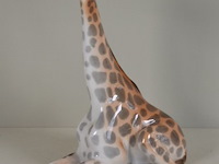 Beeld - afbeelding 1 van  6