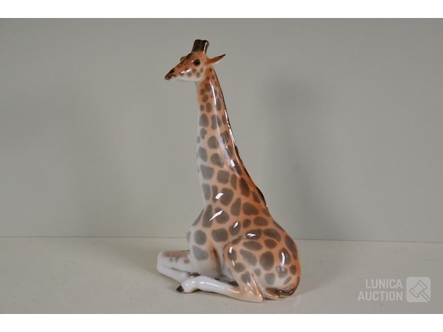 Beeld - afbeelding 2 van  6