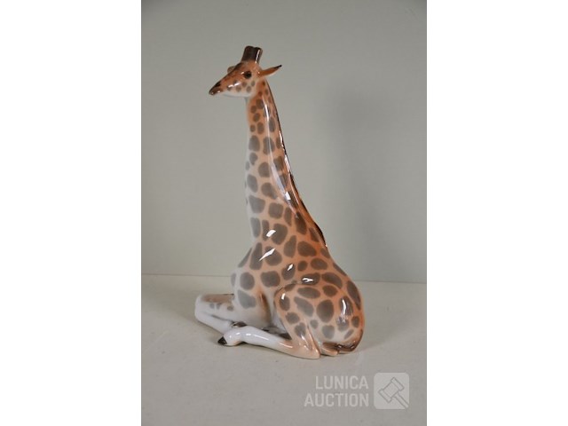 Beeld - afbeelding 3 van  6