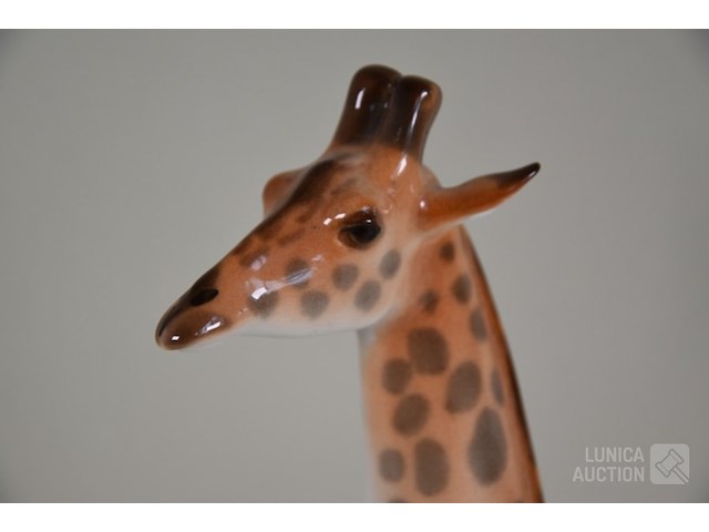 Beeld - afbeelding 4 van  6