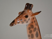 Beeld - afbeelding 4 van  6