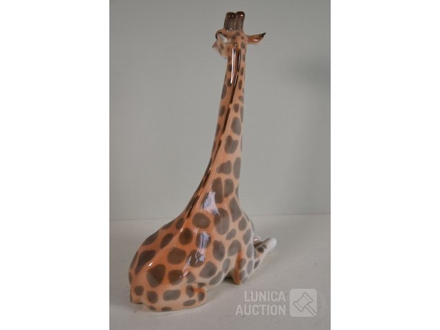 Beeld - afbeelding 5 van  6