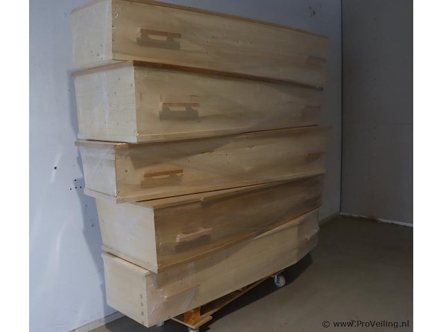Beenderkisten - 5 stuks - afbeelding 1 van  12