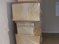 Beenderkisten - 5 stuks - afbeelding 5 van  12