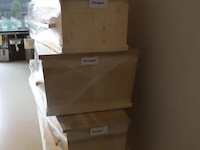 Beenderkisten - 5 stuks - afbeelding 8 van  12