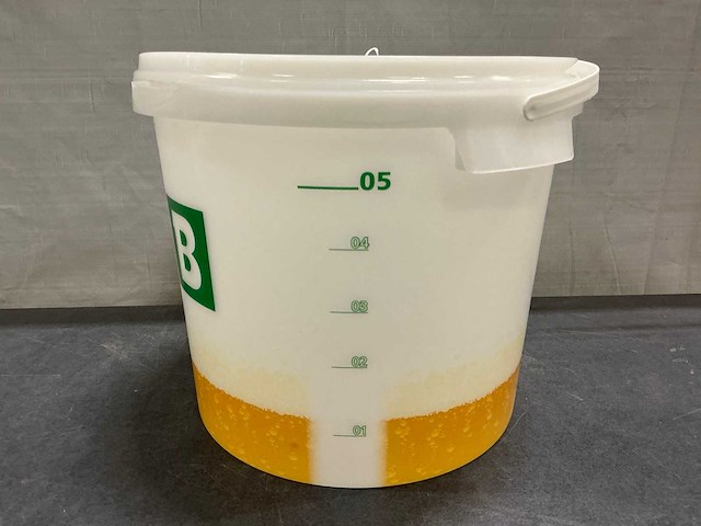 Beer (523x) - afbeelding 2 van  5