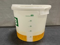 Beer (523x) - afbeelding 2 van  5