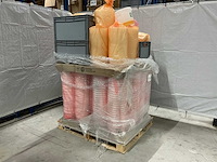 Beer (523x) - afbeelding 4 van  5