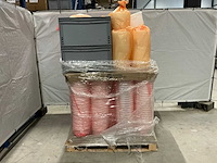 Beer (523x) - afbeelding 5 van  5