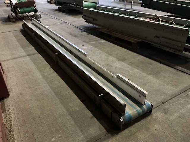 Beerepoot be transportband - afbeelding 3 van  8