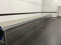 Beerepoot rollenbaan 7250x655x715 mm; - afbeelding 1 van  6