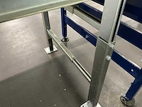 Beerepoot rollenbaan 7250x655x715 mm; - afbeelding 5 van  6