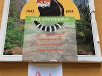Begische munten 1993. - afbeelding 1 van  3