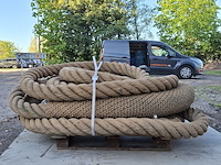 Bekabeling inclusief leguaan - afbeelding 4 van  8
