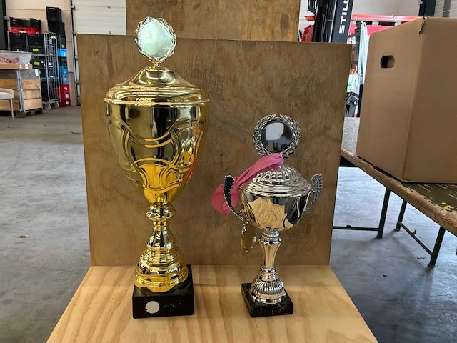 Bekers en medaille (3x) - afbeelding 3 van  3