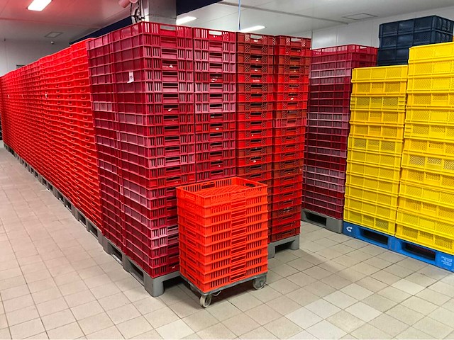 Bekuplast diverse stapelkrat (202x) - afbeelding 2 van  5