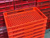 Bekuplast diverse stapelkrat (202x) - afbeelding 4 van  5