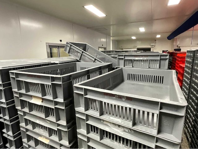 Bekuplast diverse stapelkrat (202x) - afbeelding 5 van  5