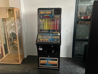 Bell-fruit games hot twin speelautomaat