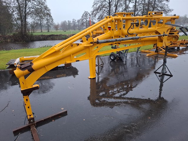 Bemesterarm tjalma - afbeelding 10 van  12