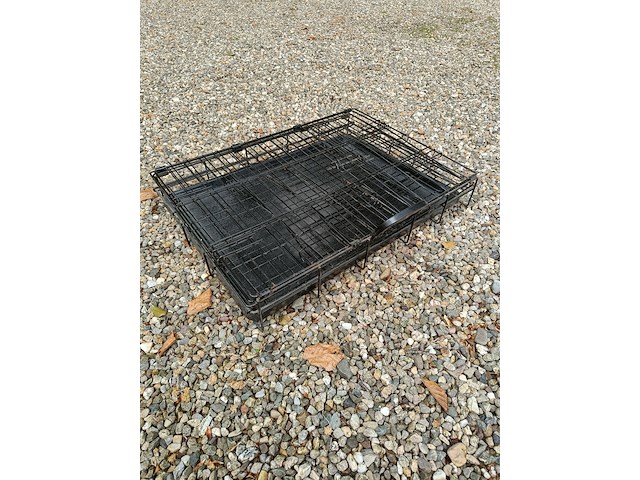 Bench hond klein, zwart - afbeelding 2 van  5