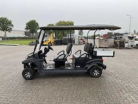 Bensel golfkar - afbeelding 18 van  23