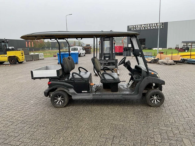 Bensel golfkar - afbeelding 19 van  23