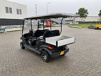 Bensel golfkar - afbeelding 21 van  23