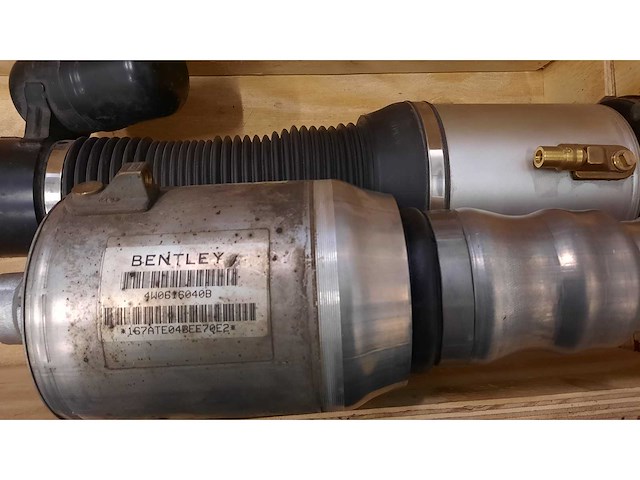 Bentley - veerpoten - overig - afbeelding 12 van  15