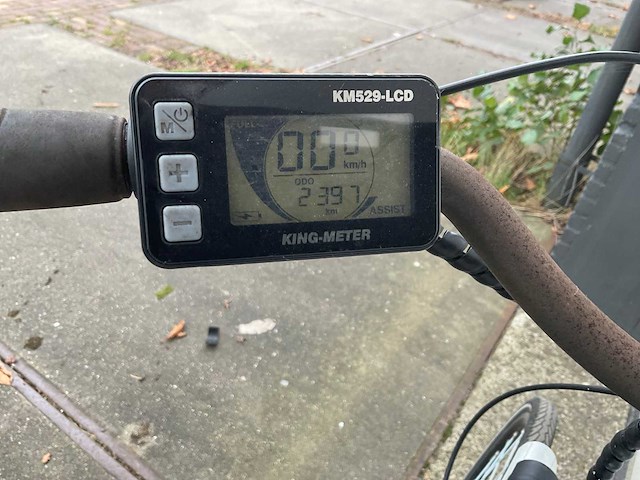 Beone lowland elektrische fiets - afbeelding 4 van  11