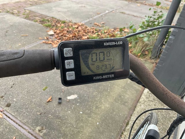 Beone lowland elektrische fiets - afbeelding 5 van  11