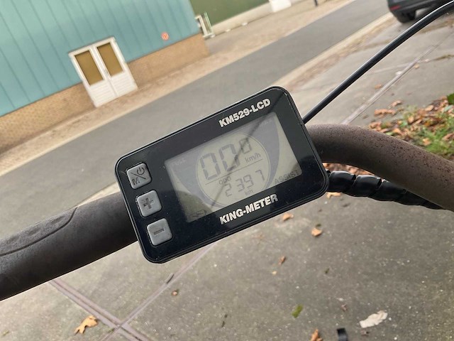 Beone lowland elektrische fiets - afbeelding 6 van  11