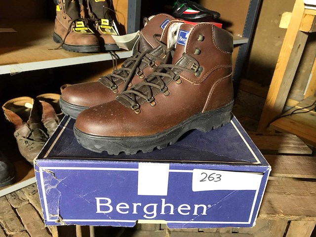 Berghen arolla werkschoenen - afbeelding 1 van  2