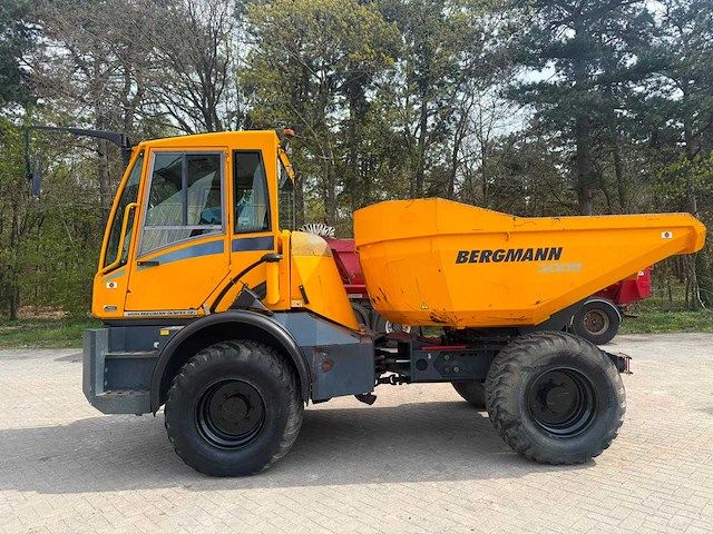 Bergmann - 2015 - 3009r - kipper - afbeelding 9 van  16