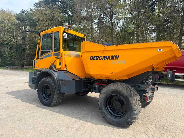 Bergmann - 2015 - 3009r - kipper - afbeelding 11 van  16