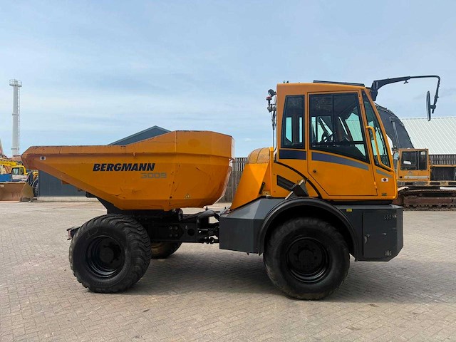 Bergmann - 2015 - 3009r - kipper - afbeelding 14 van  16