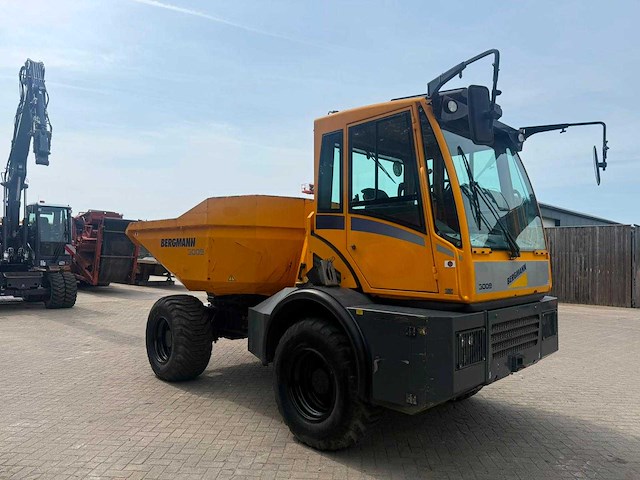 Bergmann - 2015 - 3009r - kipper - afbeelding 15 van  16