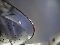 Berkel - afbeelding 6 van  8