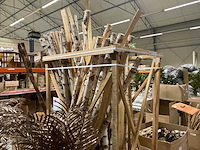 Berkenstam half - afbeelding 2 van  4