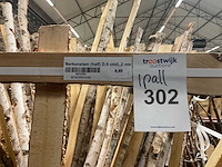 Berkenstam half - afbeelding 3 van  4