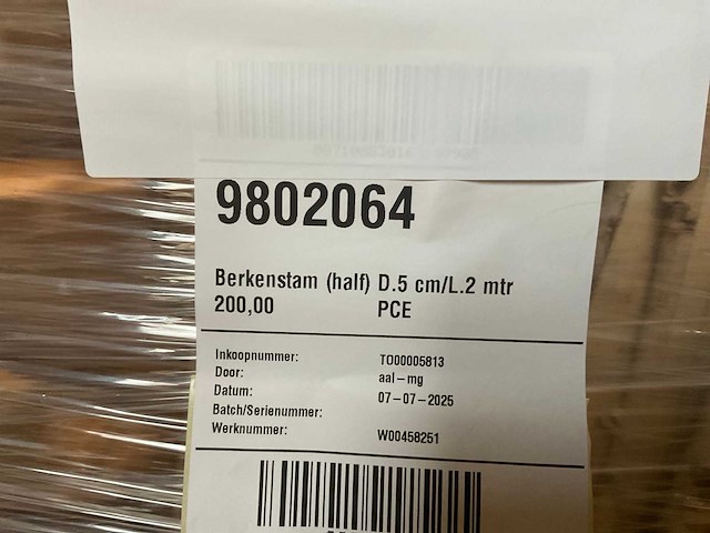 Berkenstam half - afbeelding 4 van  5