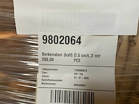 Berkenstam half - afbeelding 4 van  5