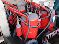 Berki - afbeelding 2 van  4